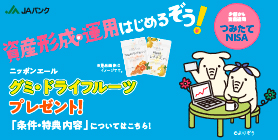 つみたてNISA