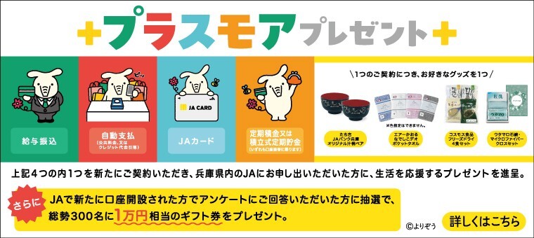 プラスモアプレゼント